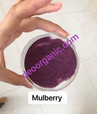 Mulberry Fruit Extract-purple